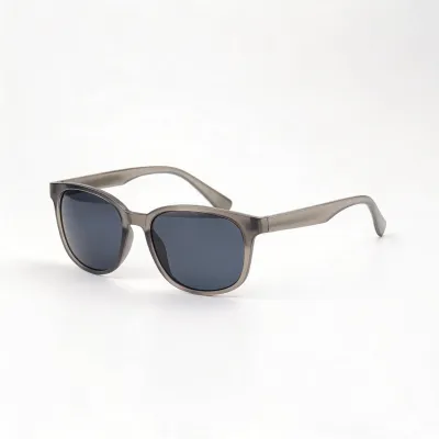 polarized photochromic sunglasses